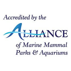 Accredited by the alliance of marine mammal parks & aquariums