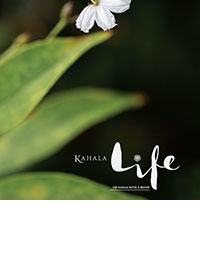 Kahala Magazine Cover 2021