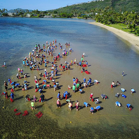 Mālama Maunalua 