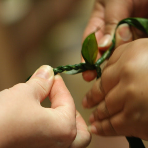 Lei laʻi