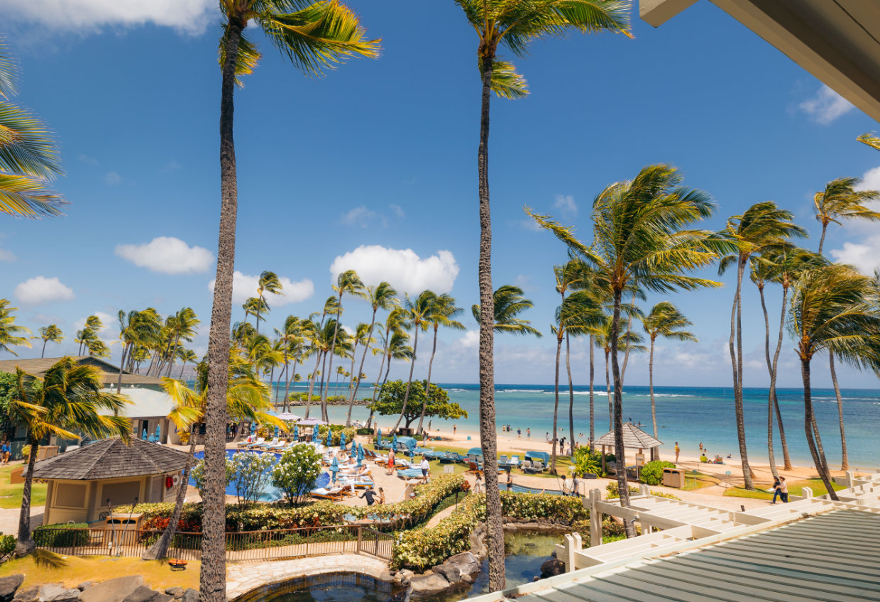 A beachfront view of a resort with palm trees, a pool, and a beach.