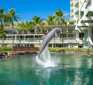Kama‘aina Special Offer