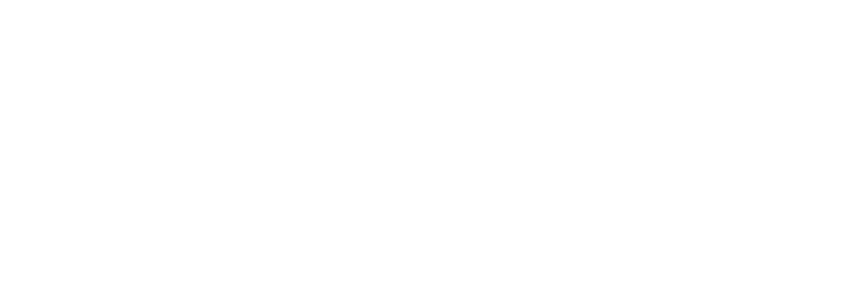 Leading hotels
