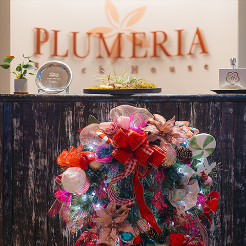 plumeria beach house banner
