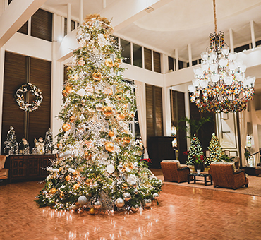 Stay this Holiday Season