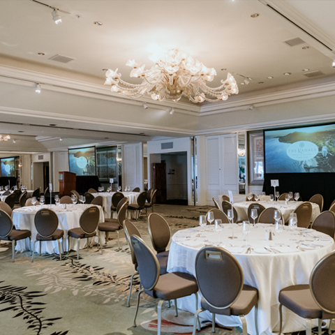 HCMF 2025 Gala